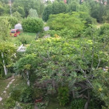 Trattoria Don Chisciotte