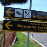 Tra Sole E Vigne Nourriture