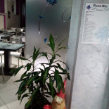 Rosa Blu À l'intérieur
