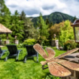Paradies À l'intérieur