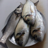 L'eremo Comida