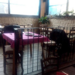 L' Angolino Pub Extérieur