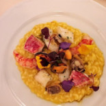 Anteprima Comida