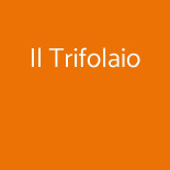 Il Trifolaio Comida