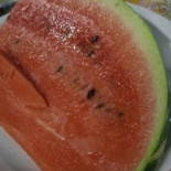 Il Laghetto Nourriture