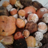 La Vignaccia Nourriture