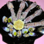 Primon À l'intérieur