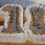 Antica Scilla Nourriture