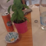 Green Pizzeria Nourriture