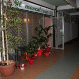Il Mascalzone Extérieur