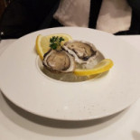 Gio Cibo