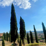 Percenna Exterior