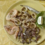 Gastropoli Nourriture