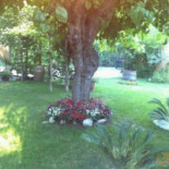 Paradise Garden Wine Extérieur