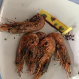 Il Terramare Comida