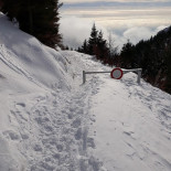 Rifugio Ardosetta food