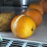 Gelateria Trilly Comida