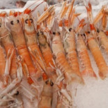 Zio Pesce Nourriture