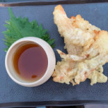 Koen Cibo