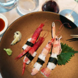 Koen Cibo