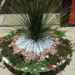 Lido Exotic Extérieur