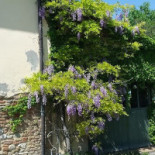 Il Cerreto Exterior
