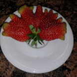Menozzi Nourriture