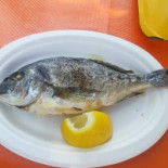 Marevivo Nourriture
