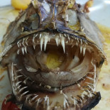 Fernando's Comida