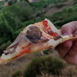 Pizza Speedy Comida