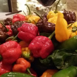 La Puteca Comida
