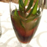 La Runcina food