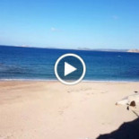 Mare Chiaro Aglientu Comida