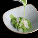 Magnacicc Gourmet Comida