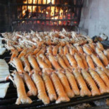 Dotto Comida