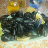 Lido Il Delfino Comida
