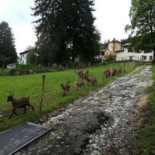 Ul Sasson Agriturismo Locatelli
