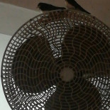 Le Querce À l'intérieur