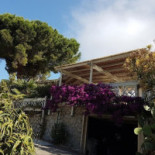 L'ogliera Marciana Exterior