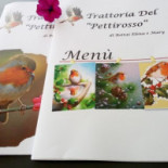 Pettirosso Nourriture