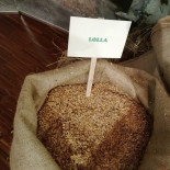 Alla Torre Food