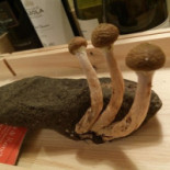 Vini Vulcani L'enoteca Carte