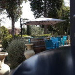 Le Tartarughe Dentro