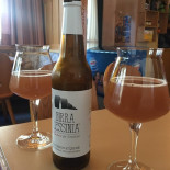 Osteria Ljetzan food