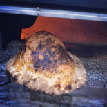 Mastro Pizza Nourriture