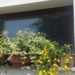 Le Cucagne Exterior
