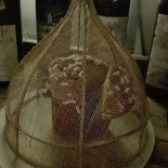 Guagliò Nourriture