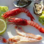 Sabbia D'oro Comida