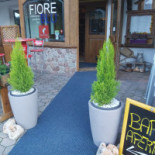 Fiore Blu À l'intérieur