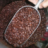 Torrefazione Caffe Oriental Nourriture